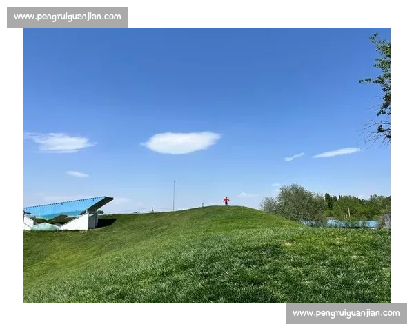 劳拉・施密特：TUSH裸拍，一场超越舒适区的艺术修行